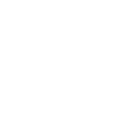 speed-icon